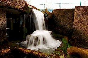 Doğa fotoğrafçılığı